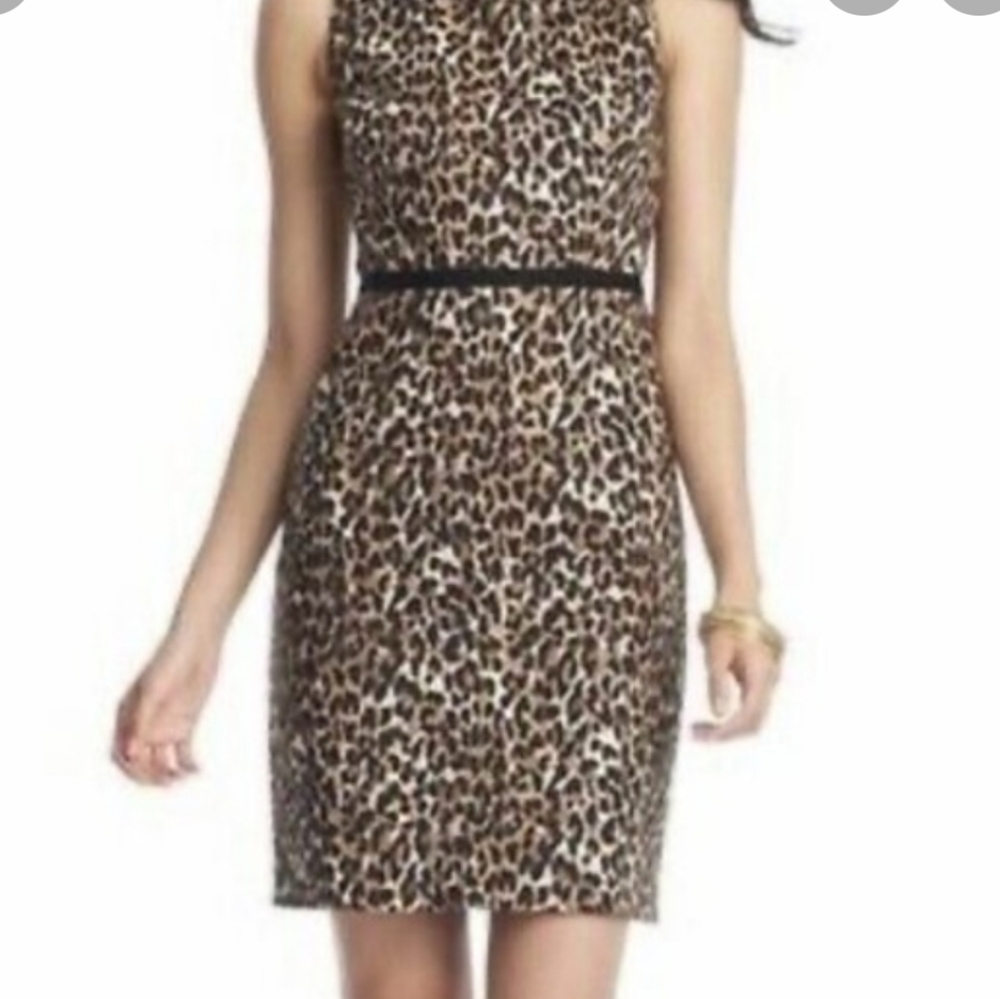 Loft Leopard Print Sheath Dress